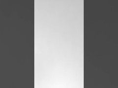 ড্রাগন বোট ফেস্টিভ্যাল টিম বিল্ডিং